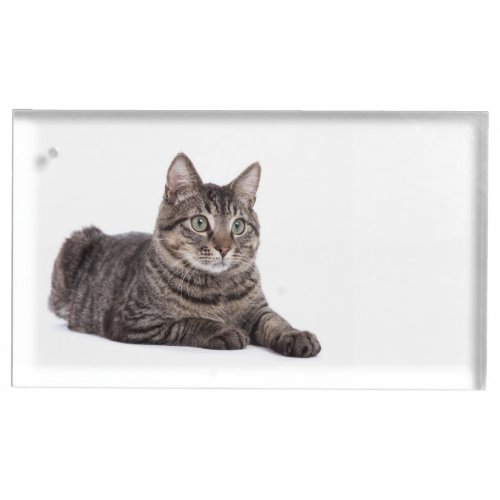 Gray Tabby Cat Place Card Holder