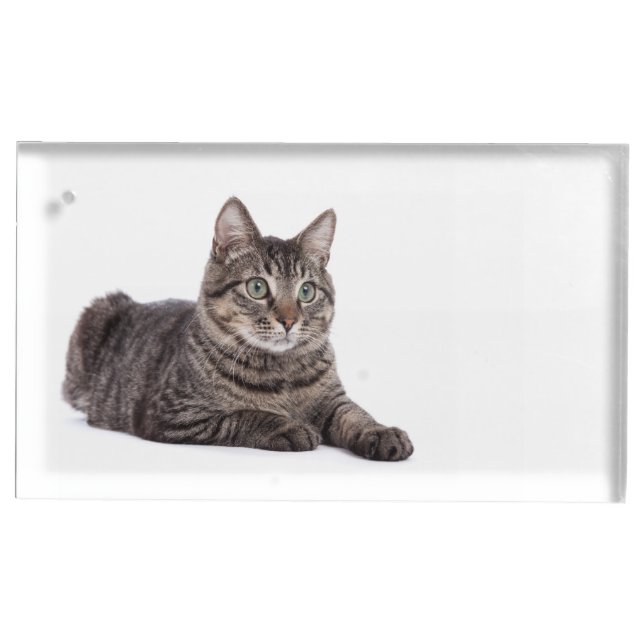 Gray Tabby Cat Place Card Holder (Front)