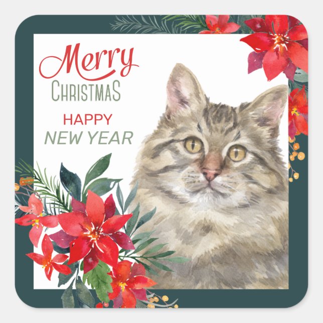 Gray Tabby Cat Poinsettia Border Christmas Square Sticker (Front)