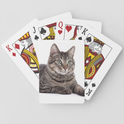 Gray Tabby Cat Poker Cards