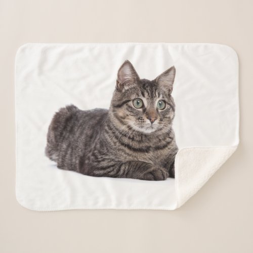 Gray Tabby Cat Sherpa Blanket