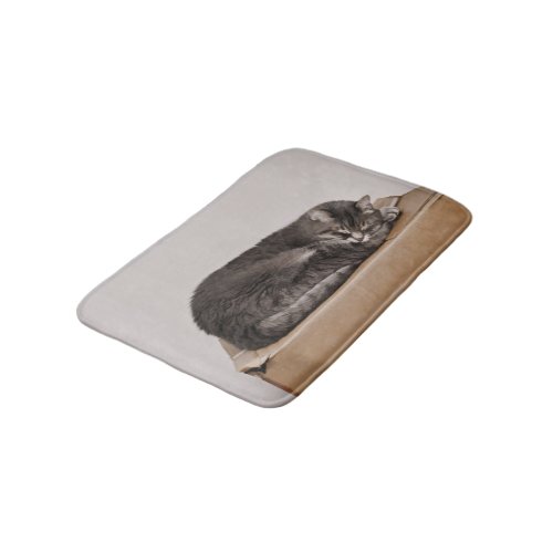 Gray Tabby Cat Sleeping On Box Bathroom Mat