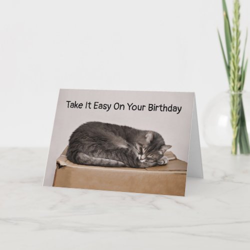 Gray Tabby Cat Sleeping On Box Blank Card