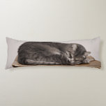 Gray Tabby Cat Sleeping On Box Body Pillow at Zazzle