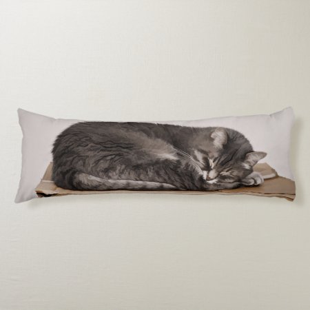 Gray Tabby Cat Sleeping On Box Body Pillow