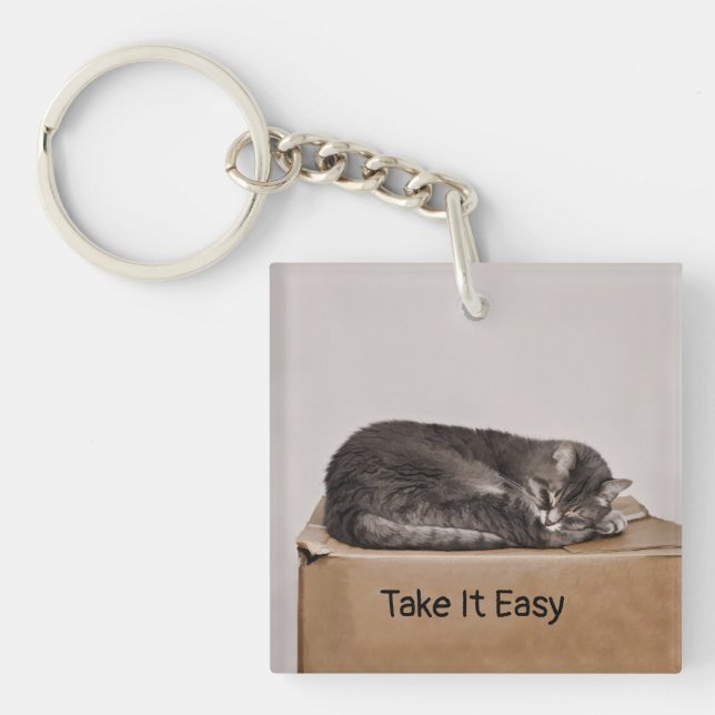 Gray Tabby Cat Sleeping On Box Keychain (Front)