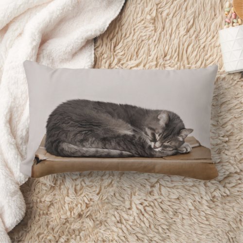 Gray Tabby Cat Sleeping On Box Lumbar Pillow