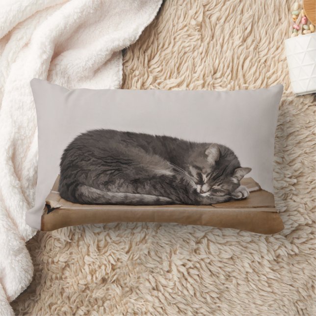 Gray Tabby Cat Sleeping On Box Lumbar Pillow (Blanket)