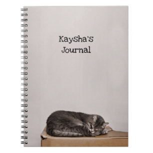 Gray Tabby Cat Sleeping On Box Notebook