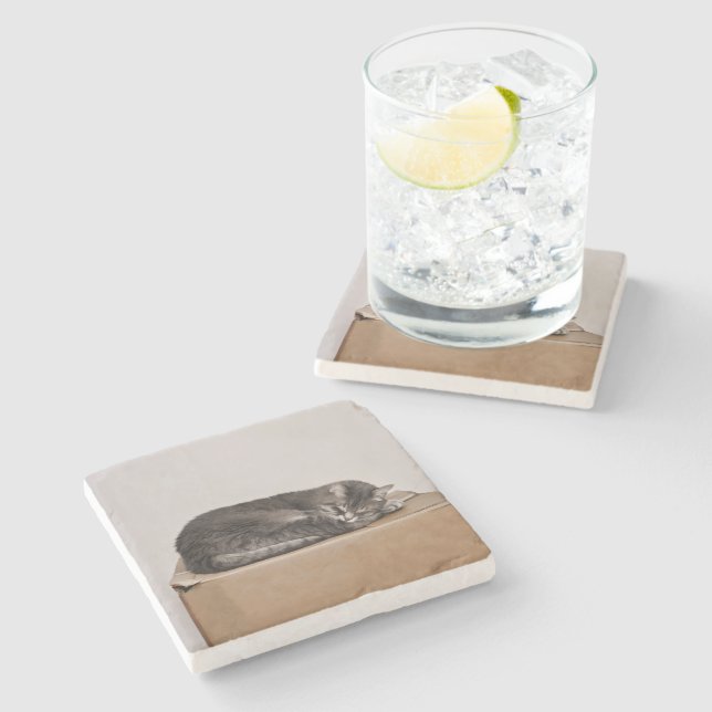 Gray Tabby Cat Sleeping On Box Stone Coaster (Side)