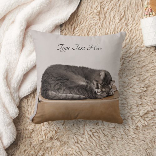 Gray Tabby Cat Sleeping On Box Throw Pillow