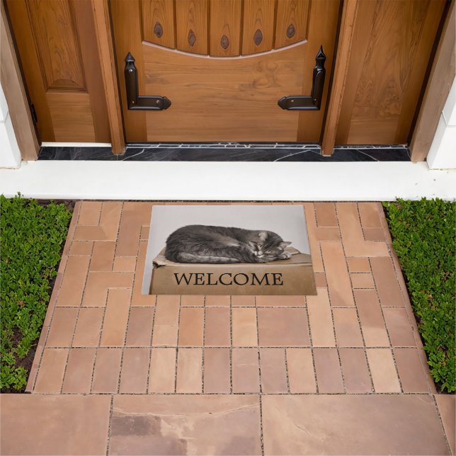 Gray Tabby Cat Sleeping On Box Welcome Doormat (Outdoor)