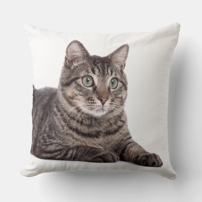 Gray Tabby Cat Throw Pillow (Front)