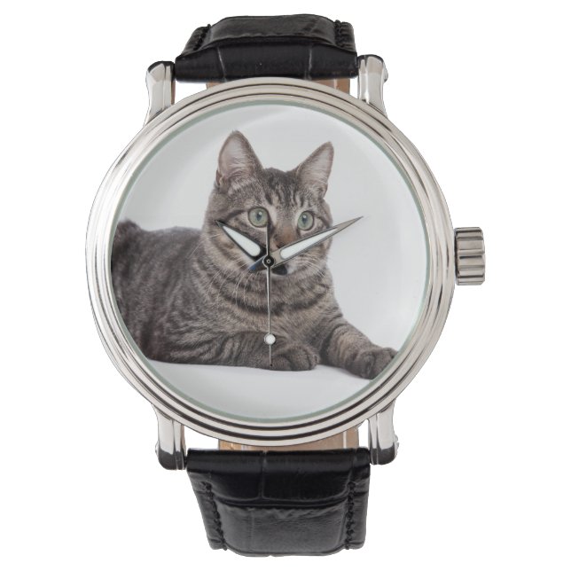 Gray Tabby Cat Watch (Front)