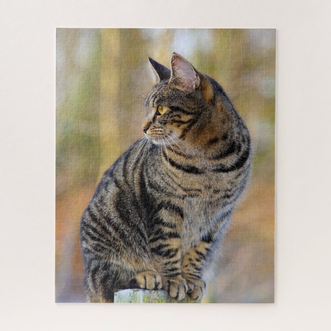Gray Tabby Jigsaw Puzzle (Vertical)