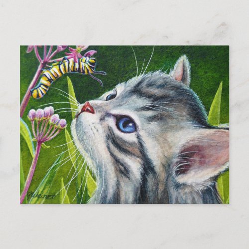 Gray Tabby Kitten  Caterpillar Watercolor Art Postcard