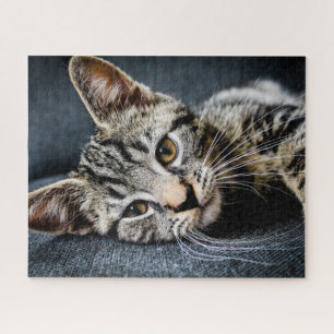 Gray Tabby Kitten Jigsaw Puzzle