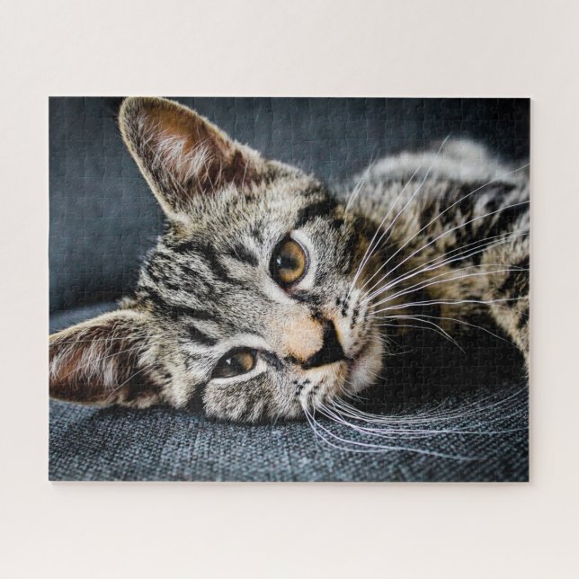 Gray Tabby Kitten Jigsaw Puzzle (Horizontal)