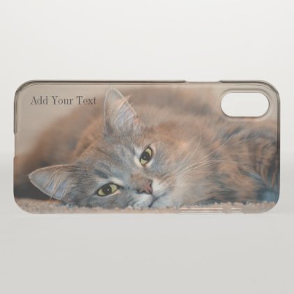 Gray, Tan, White Long-Haired Cat by Shirley Taylor iPhone X Case