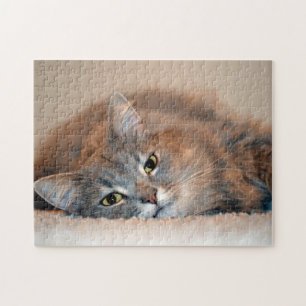 Gray, Tan, White Long-Haired Cat by Shirley Taylor Jigsaw Puzzle