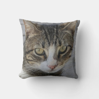 Gray Tiger Cat Picture,Lover of beautiful rare cat Throw Pillow