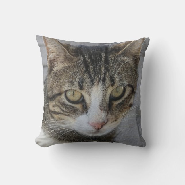 Gray Tiger Cat Picture,Lover of beautiful rare cat Throw Pillow (Front)