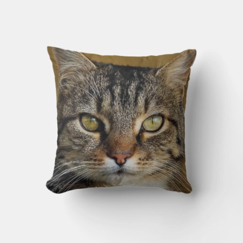 Gray tiger cat picture with dark background throw pillow