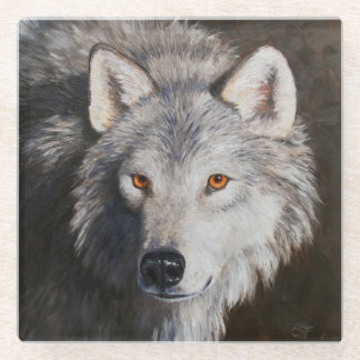 Gray Timber Wolf Face Portrait Glass Coaster