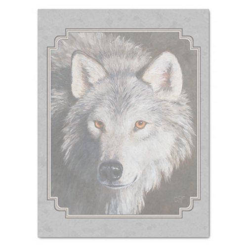 Gray Timber Wolf Face Tissue Paper