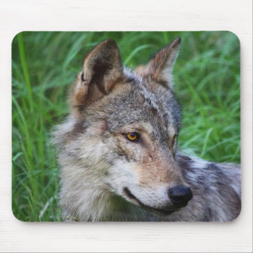 Gray Timber Wolf Mouse Pad