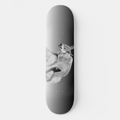 Gray Timber Wolf Snarl Skateboard Deck
