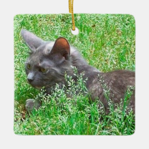Gray Tortie Cat Ceramic Ornament