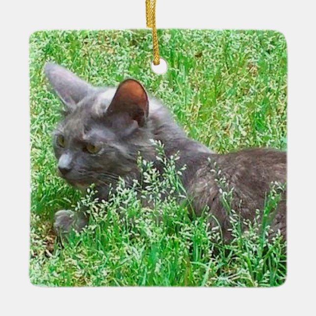 Gray Tortie Cat Ceramic Ornament (Front)