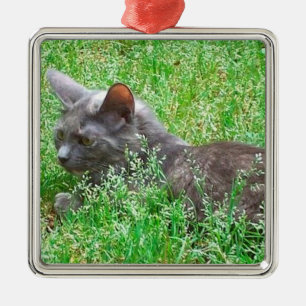 Gray Tortie Cat Metal Ornament