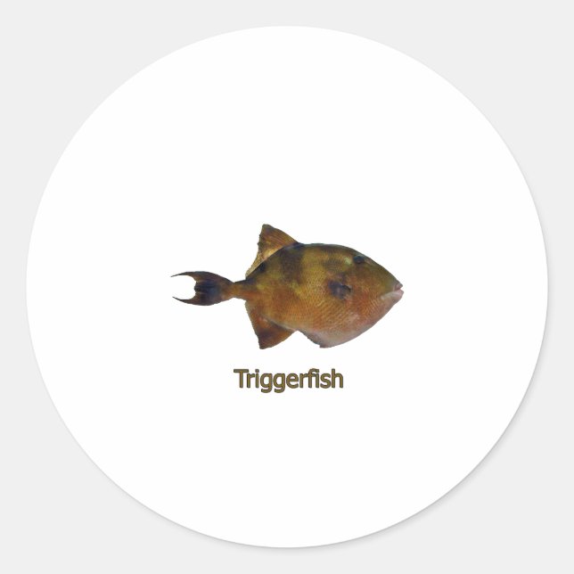 Gray Triggerfish Logo Classic Round Sticker (Front)