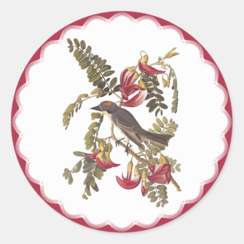 Gray Tyrant Bird in Hummingbird Tree Vintage Art Classic Round Sticker