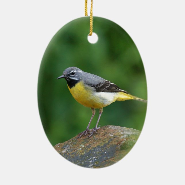 Gray Wagtail - bird Ceramic Ornament (Back)