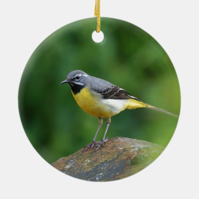 Gray Wagtail - bird Ceramic Ornament (Back)