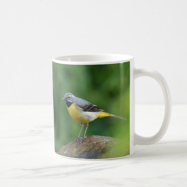 Gray Wagtail - bird Coffee Mug (Right)
