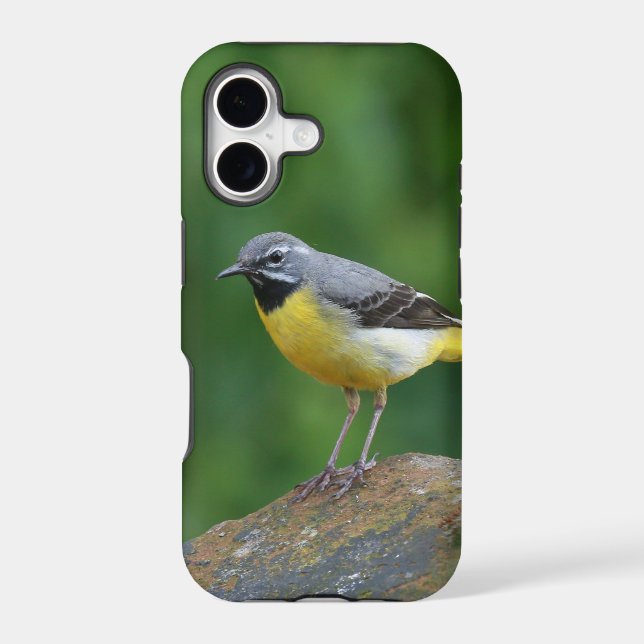 Gray Wagtail - bird Iphone Case (Back)