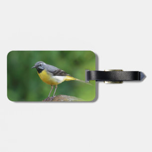 Gray Wagtail - bird Luggage Tag