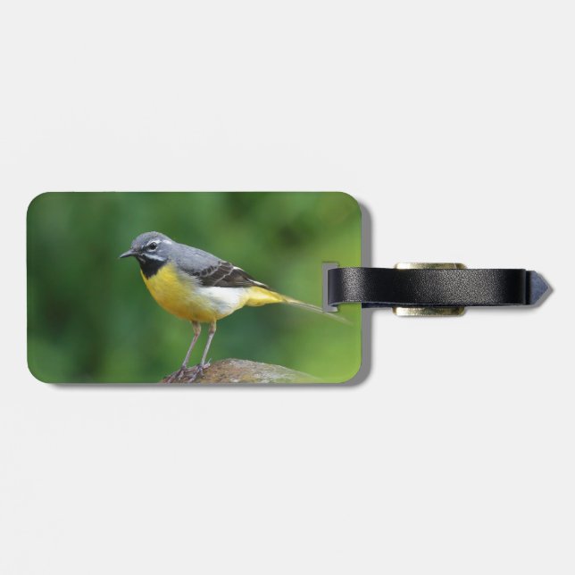 Gray Wagtail - bird Luggage Tag (Back Horizontal)