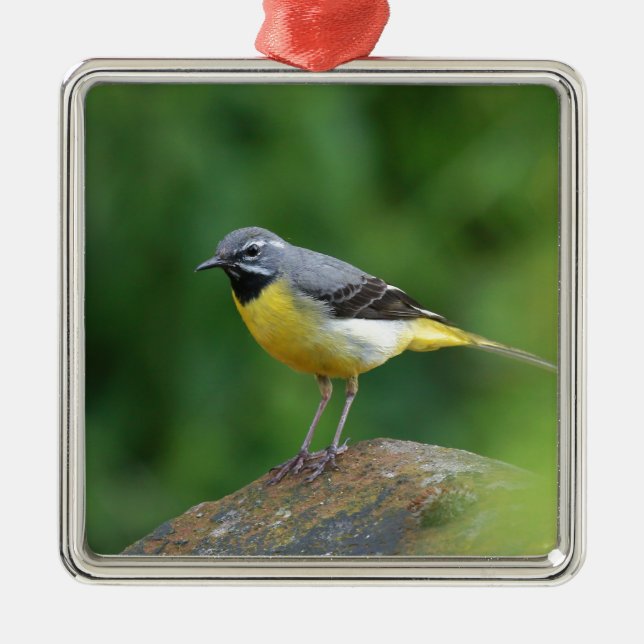 Gray Wagtail - bird Metal Ornament (Front)