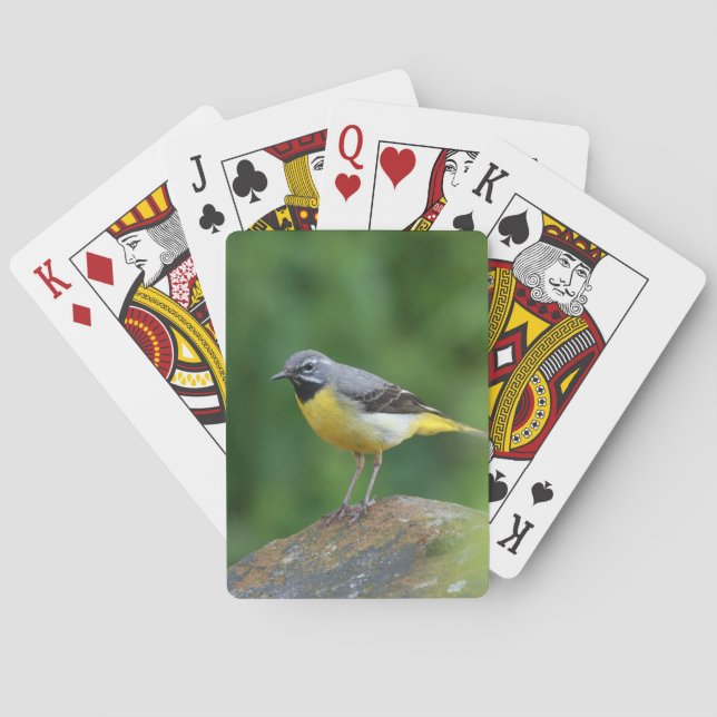 Gray Wagtail - bird Poker Cards (Back)