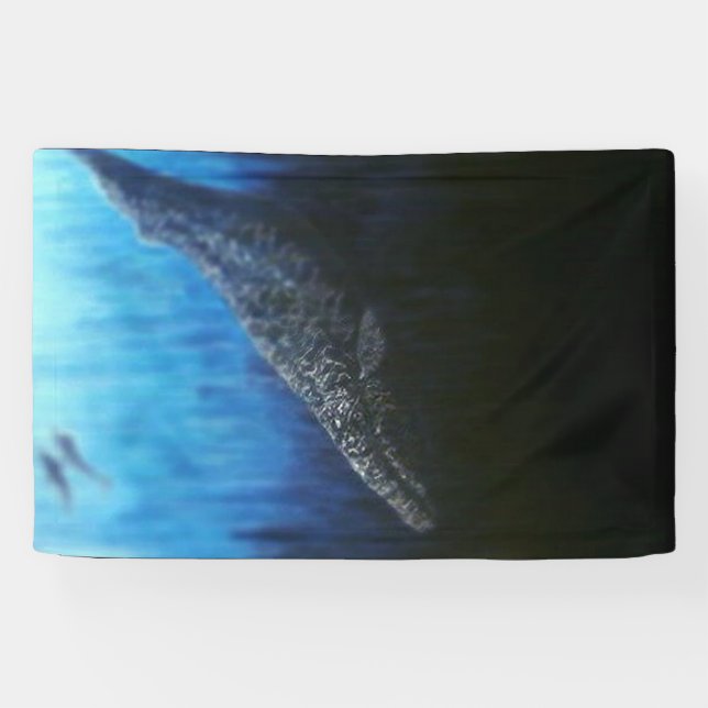 Gray wale  banner (Horizontal)