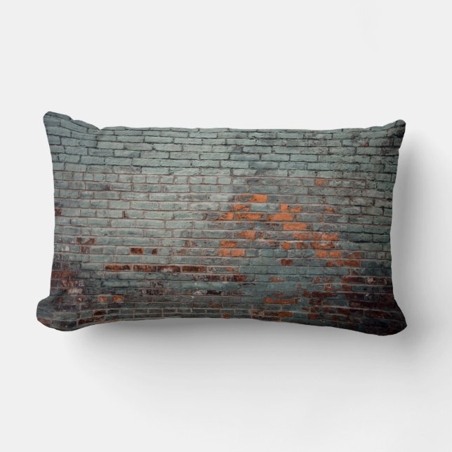 Gray wall paint lumbar pillow (Front)