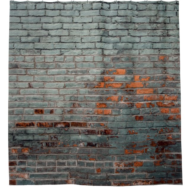 Gray wall paint shower curtain (Front)