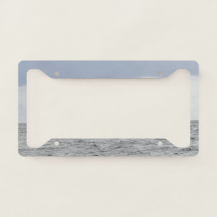 Gray water license plate frame