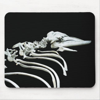 Gray Whale Fossil Mouse Pad