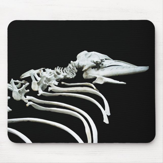 Gray Whale Fossil Mouse Pad (Front)